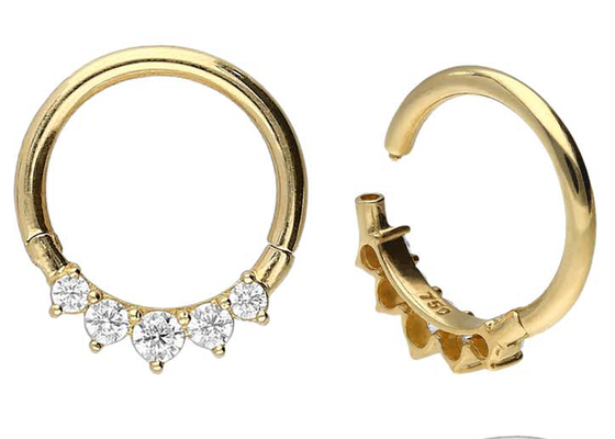 Surgical Hinged 14K Gold Clicker 5 Zestaw zewnętrznych pazurów Typ Hipoalergiczny