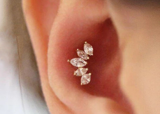 16g Korona Kształt Złoty Piercing Biżuteria Kolczyki 6mm Długość Z Mq Diamond
